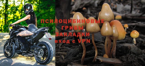 твердый Горнозаводск