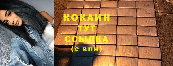сатива Горно-Алтайск