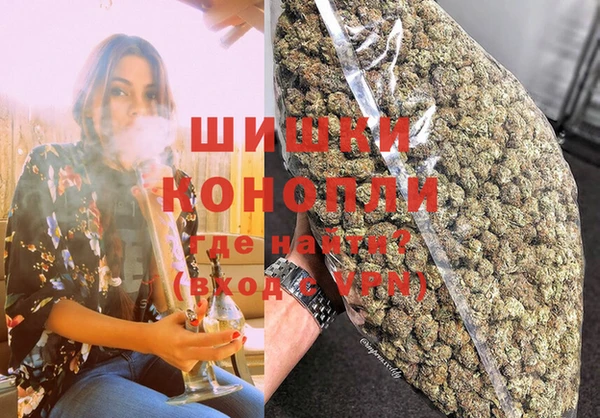 сатива Горно-Алтайск