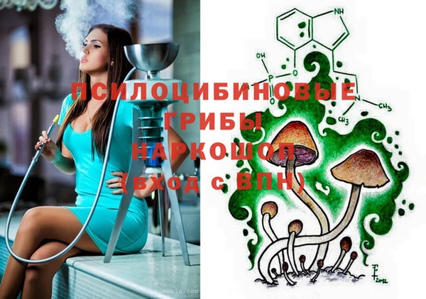 твердый Горнозаводск