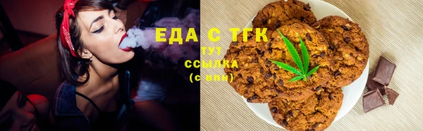 твердый Гусев
