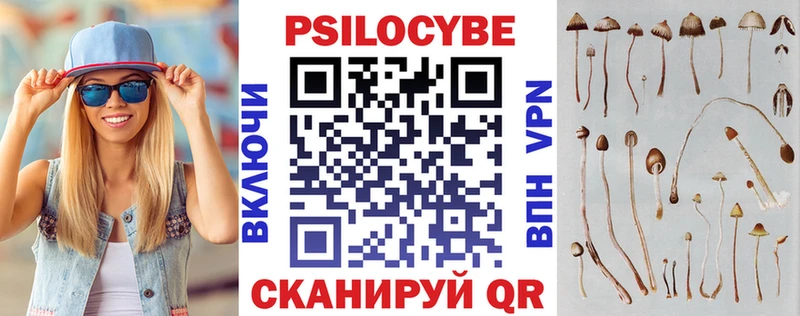 Псилоцибиновые грибы мицелий Новый Оскол