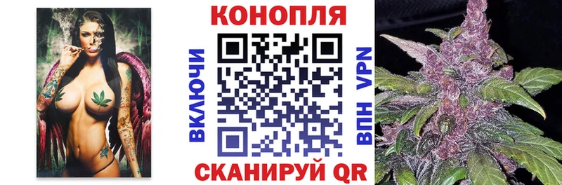 Шишки марихуана планчик  продажа наркотиков  Новый Оскол 